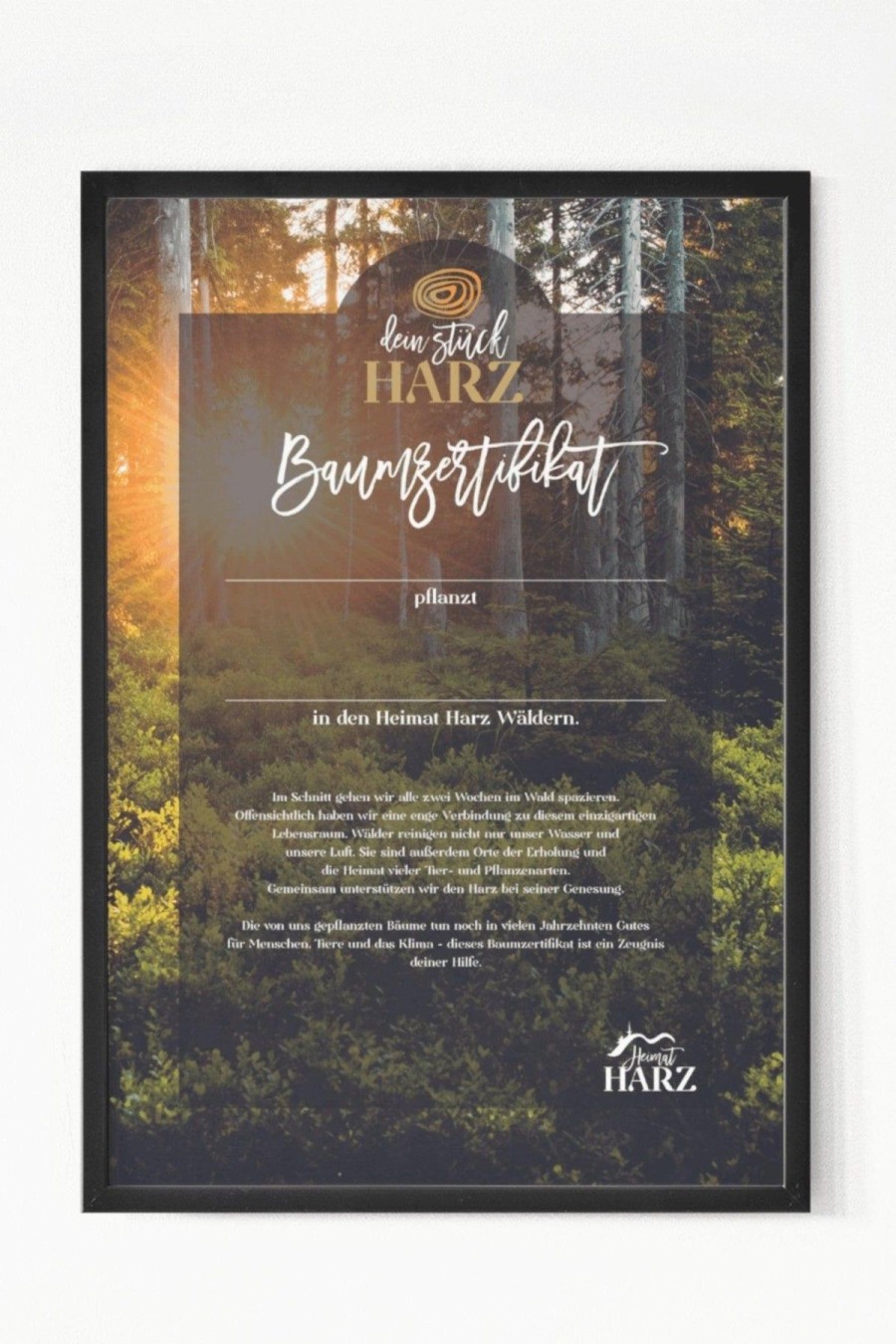 Heimat Harz Baume Pflanzen Im Harz | Geschenke & Souvenirs Geschenke Unter 50