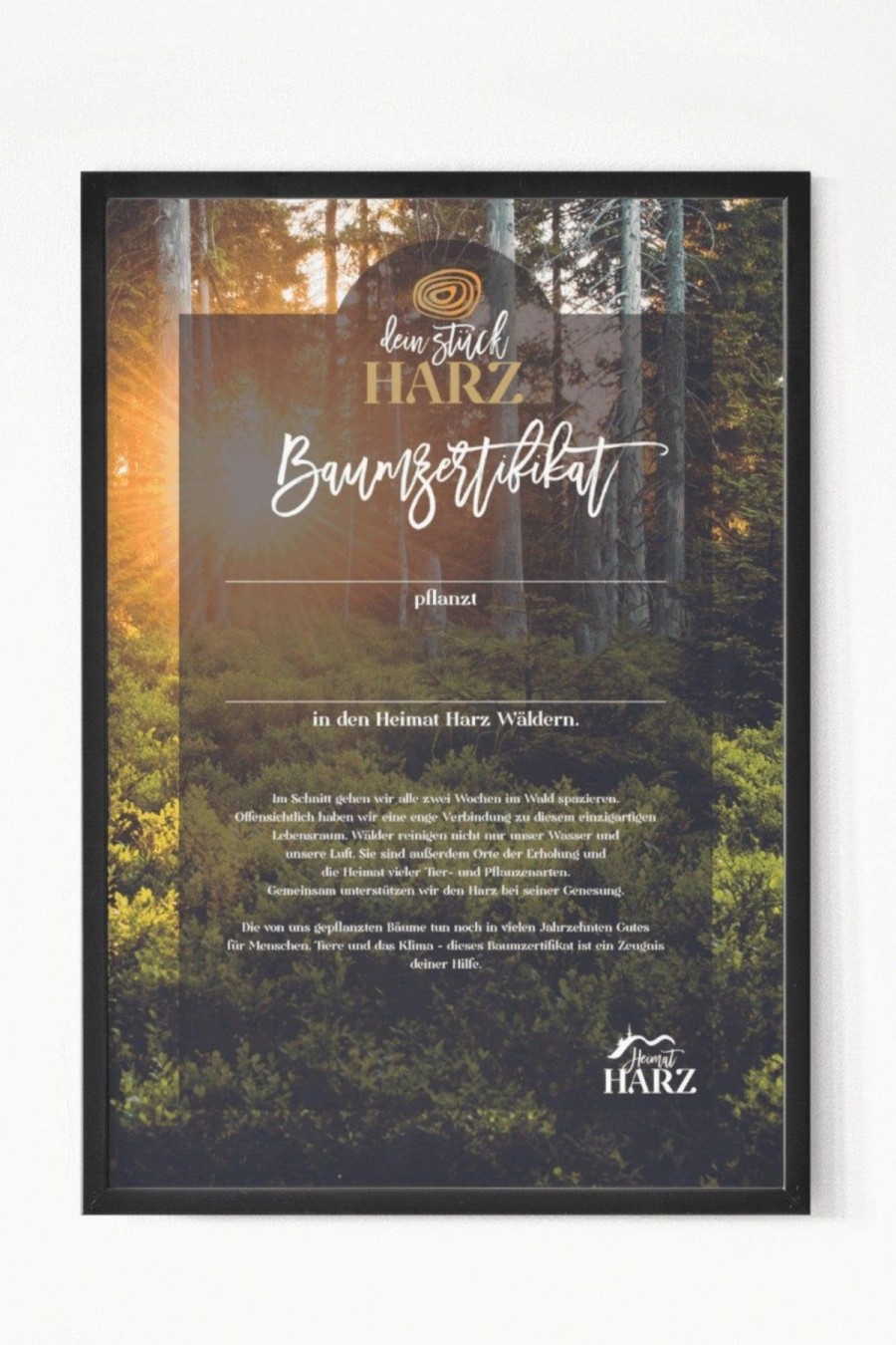 Heimat Harz 1 Baum Fur Den Harz & Baumzertifikat | Geschenke & Souvenirs Fokus Auf Nachhaltigkeit